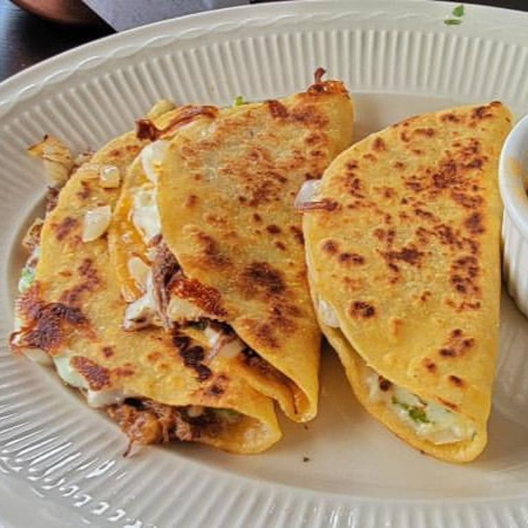 Discover Our Birria Delights